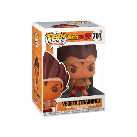 Dragon Ball Z - Vegeta Training